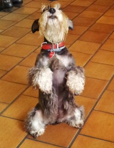 20150319_103437-copia