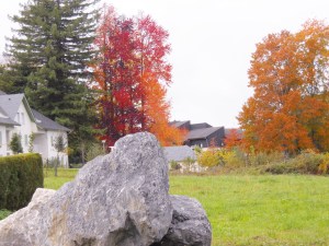 Autumn in SudOeste 011