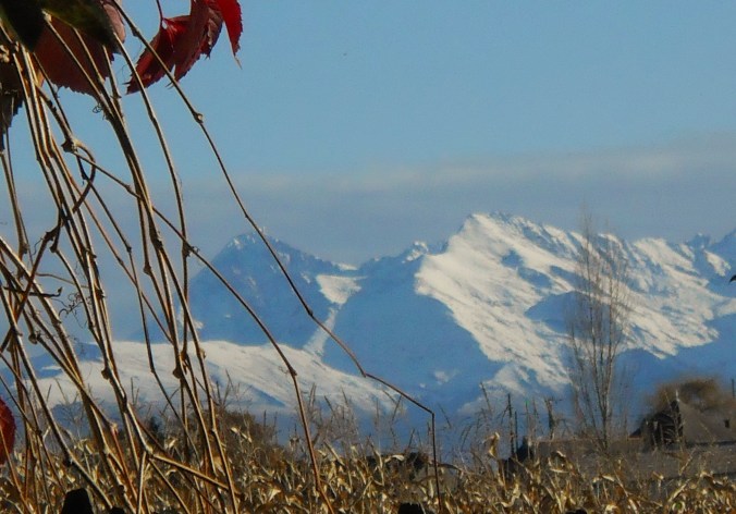 Autumn in SudOeste 024