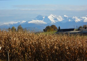 Autumn in SudOeste 030