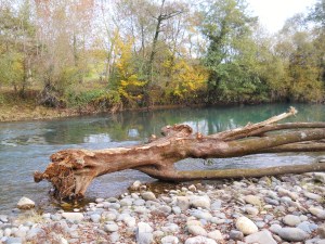 Autumn in SudOeste 050
