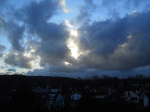 NUBES Y DIENTES DE LEÓN (AMARGÓN) 005