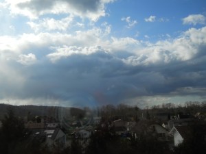 NUBES Y DIENTES DE LEÓN (AMARGÓN) 028