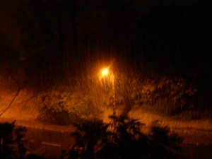 SALIES EN EL INVIERNO 036