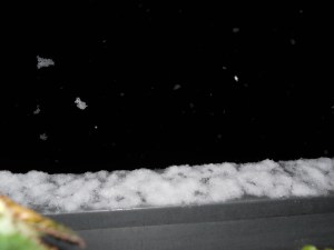 SALIES EN EL INVIERNO 038