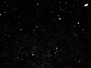 SALIES EN EL INVIERNO 040