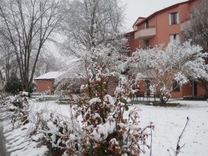 SALIES EN EL INVIERNO 062