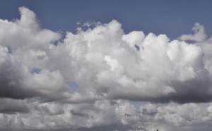 NUBES Y DIENTES DE LEÓN (AMARGÓN) 007