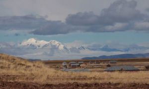 10710557_10204054937167358_4846205909494950970_n[1]