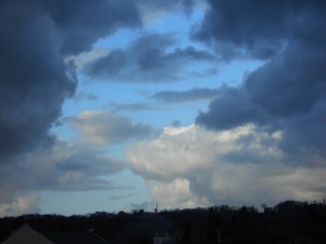 SALIES EN EL INVIERNO 021