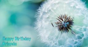 13879373_10207828128555189_7987522197833662195_n