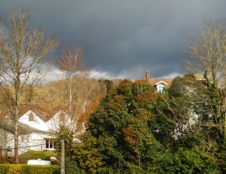 NUBES Y DIENTES DE LEÓN (AMARGÓN) 004 (2)