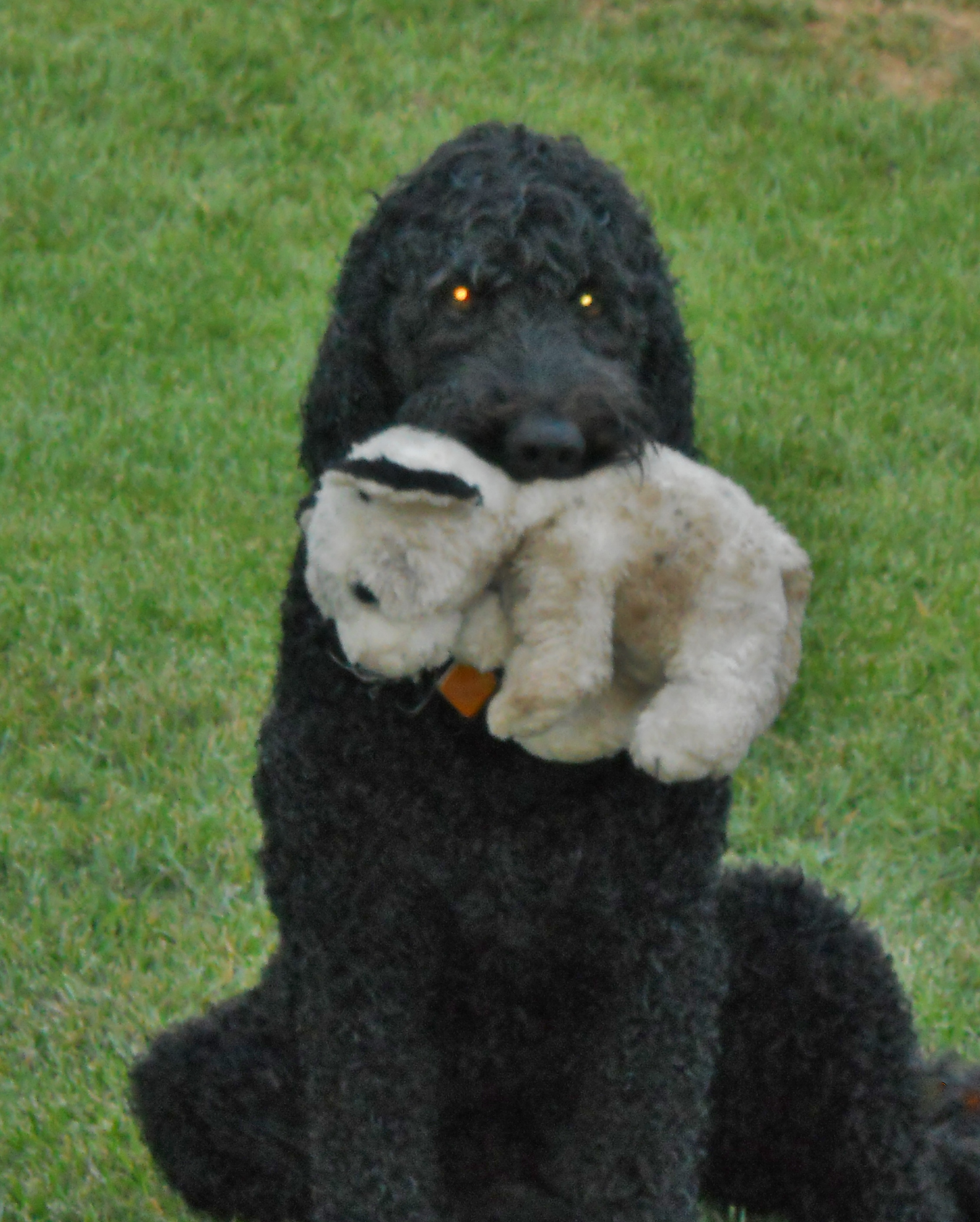 imagenes NIKON (July 2011-Sept 2011) 014