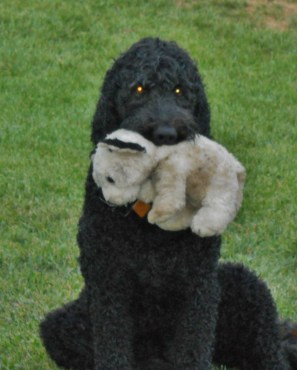 imagenes NIKON (July 2011-Sept 2011) 014