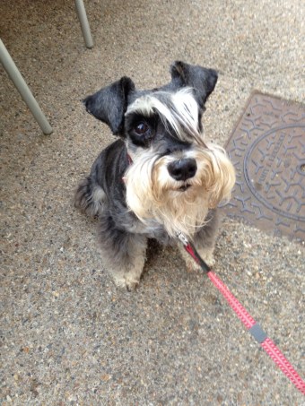 IMG-20150706-WA0001 (2)